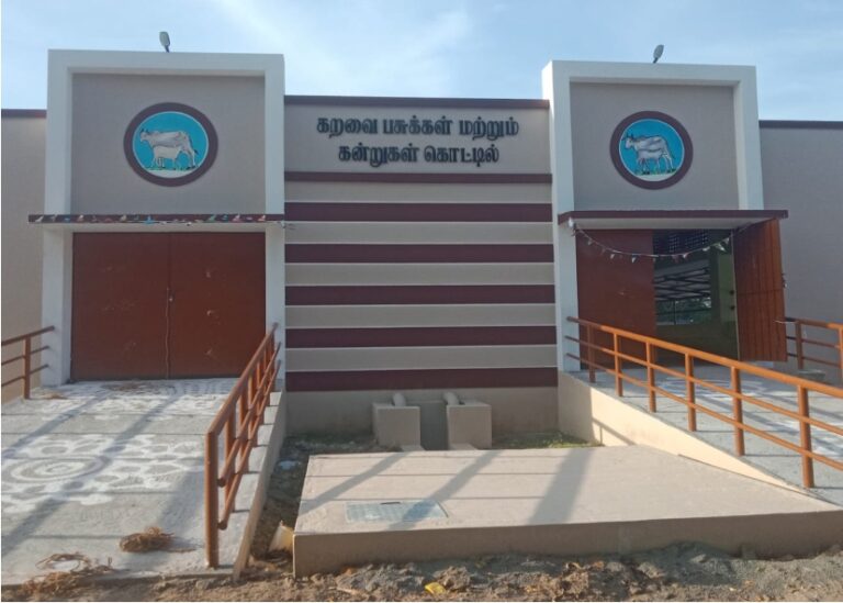 மு.க.ஸ்டாலின் கால்நடை பராமரிப்புக்கு பல்வேறு கொட்டில்கள் காணொளி காட்சி மூலம் திறப்பு..!