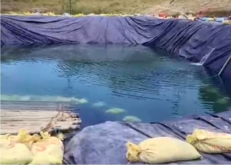 விநாயகர் சிலைகளை கரைப்பதற்காக வெள்ளக்கிணறு குட்டை பகுதியில் நீர் நிரப்பும் பணி தீவிரம்..!