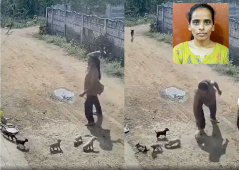 பக்கத்து வீட்டுக்காரர்களுடன் பிரச்சினை!! நாய்க்குட்டிகளை கொடூரமாக தாக்கி கொன்ற பெண் கைது!!