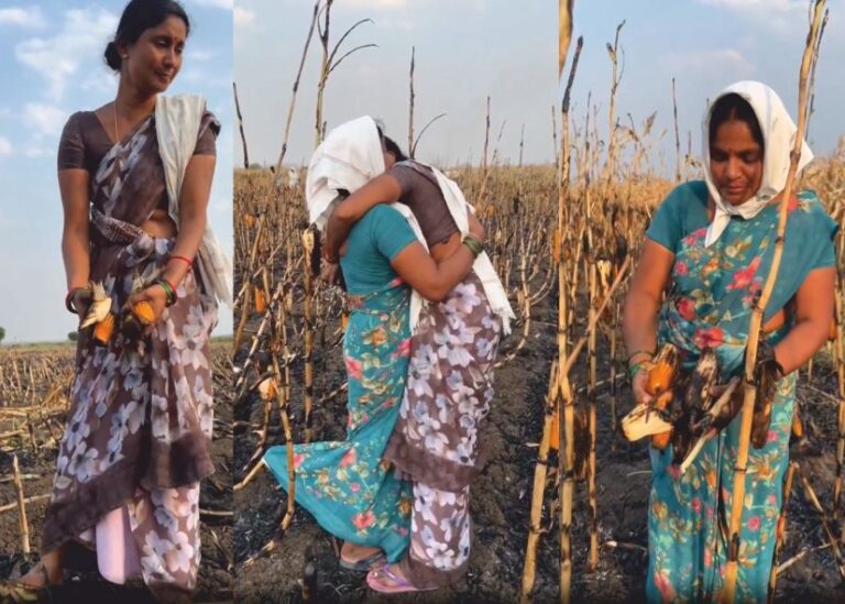 சுமார் 12 ஏக்கர் மக்காச்சோளம் முற்றிலுமாக சாம்பல்!! காண்போரை கண் கலங்க வைக்கும் வீடியோ!!
