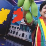 தருமபுரியில் சுட்டெரிக்கும் வெயிலில் இருந்த இலையின் உதவியால் கனியும் மாம்பழம்!!