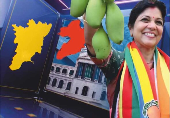 தருமபுரியில் சுட்டெரிக்கும் வெயிலில் இருந்த இலையின் உதவியால் கனியும் மாம்பழம்!!