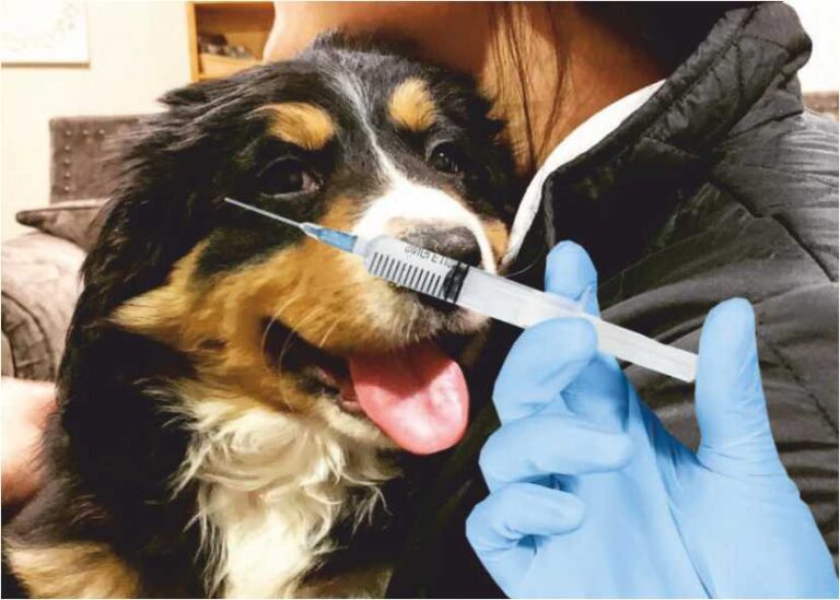 நாயின் நகம் பட்டு பரிதாபமாக உயிரிழந்த ஆசை ஆசையாய் வளர்த்த ஒரே மகள்!!