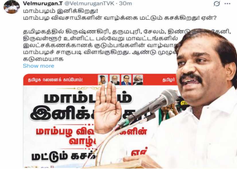 வேல்முருகன் மாம்பழம் இனிக்கிறது! மாம்பழ விவசாயிகளின் வாழ்க்கை மட்டும் கசக்கிறது! ஏன்
